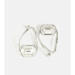 Dries Van Noten Crystal-embellished Drop Earrings -Dries Van Noten Shop unnamed file 745